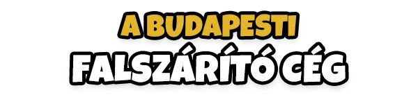 Első budapesti falszárító cég
