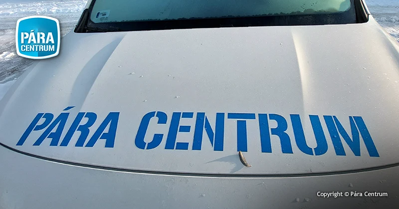 Páramentesítő bérlés vizes falak szárításához