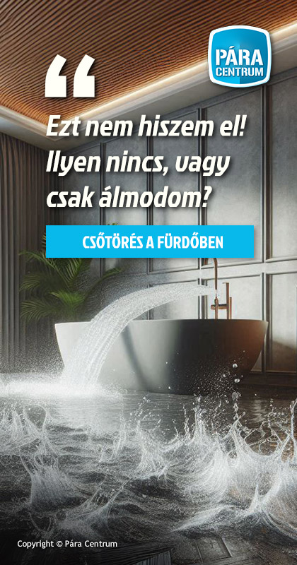 Páramentesítő bérlés vizes falak szárításához