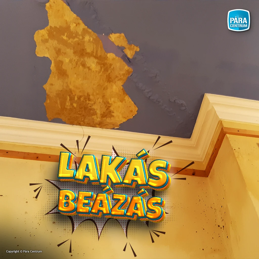 Páramentesítő bérlés vizes falak szárításához