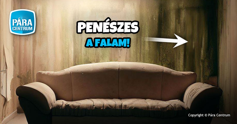 Páramentesítő bérlés vizes falak szárításához