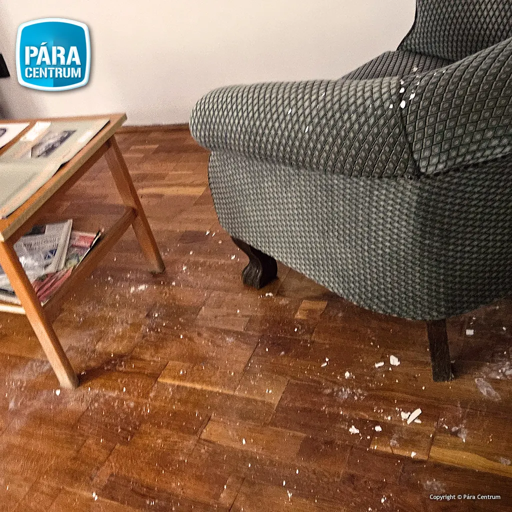 Épületszárítás, vizes parketta