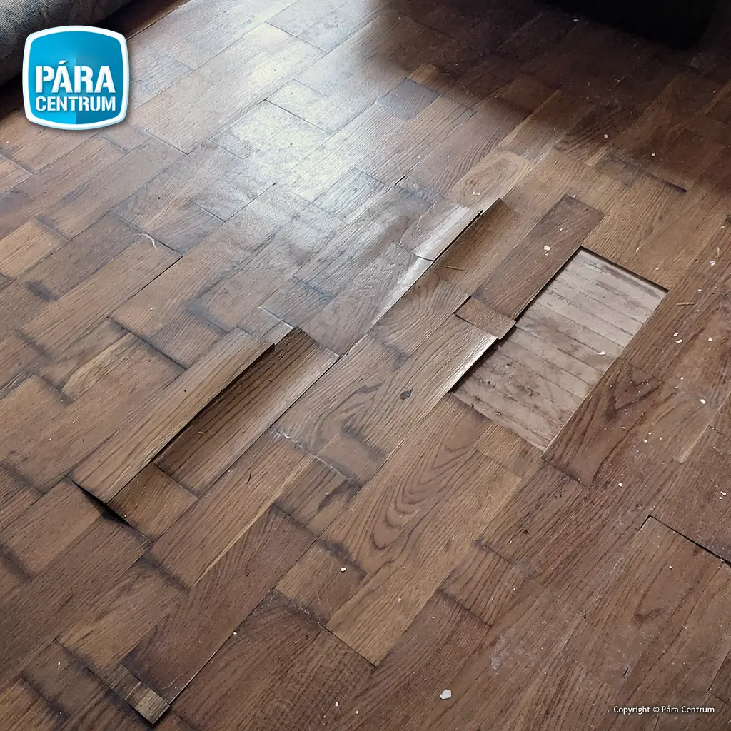 Épületszárítás, vizes parketta