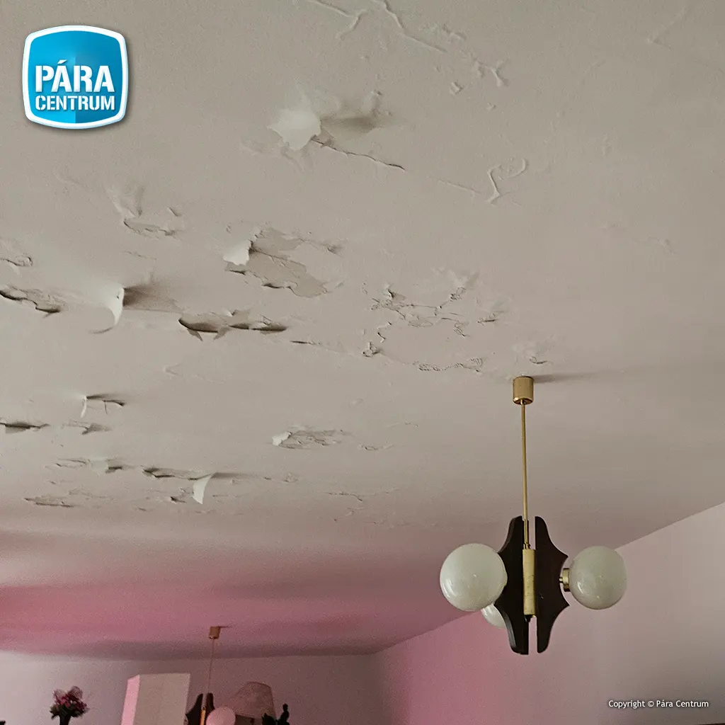 Épületszárítás gyorsan hatékonyan