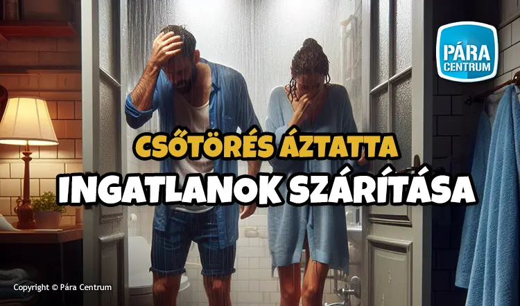 Csőtörés, beázás, vizes falak