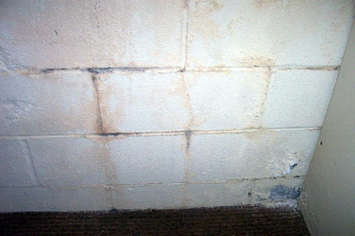Páramentesítés: nedves falak esetén a penész általában a sarkokban jelentkezik először.