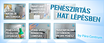 Penészirtás HAT lépésben