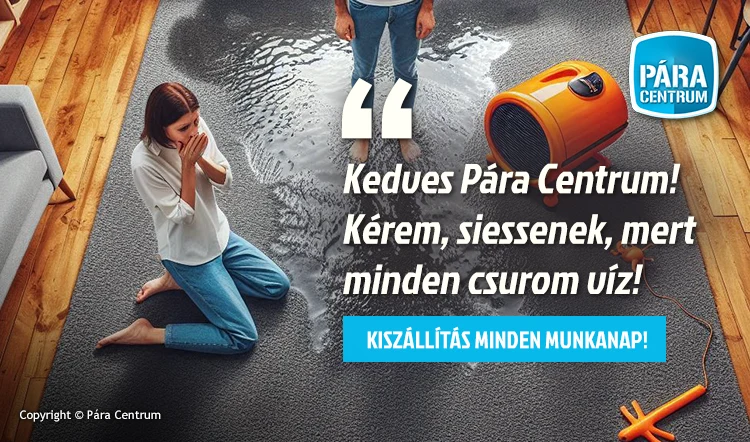 Vizesek falak szárítása, falszárítás