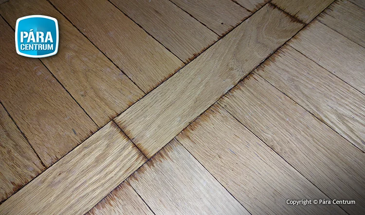 Vizes parketta szárítása