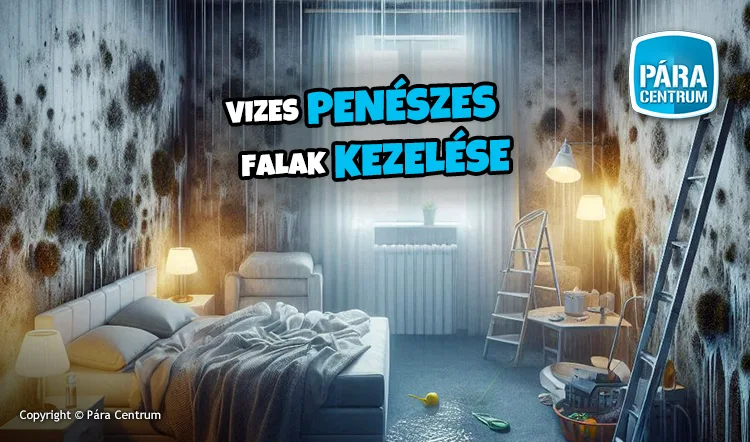 Penész a falon
