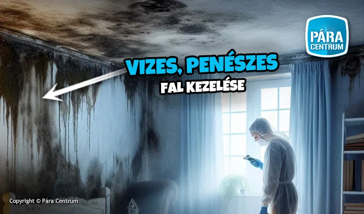 Penész a falon
