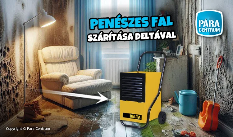 Vizes penészes falak kezelése