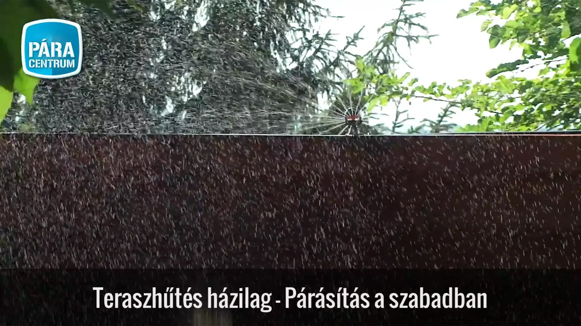 Videó előnézet