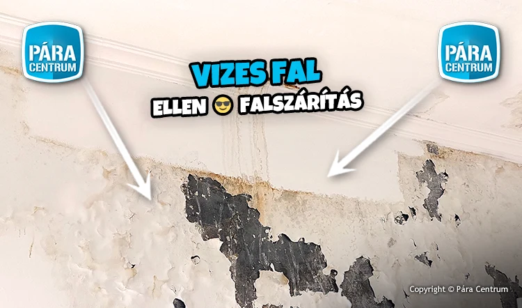 Mi a megoldás vizes fal ellen?