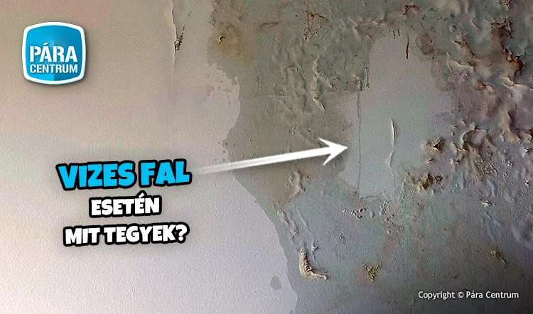 Mi a megoldás vizes fal ellen?