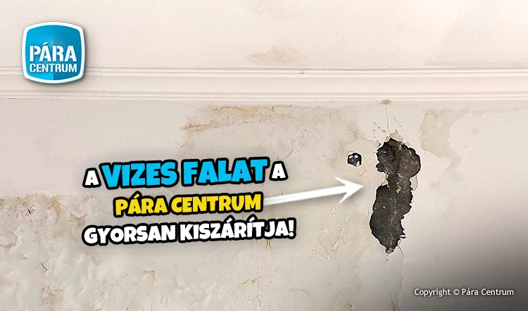 Mi a megoldás vizes fal ellen?