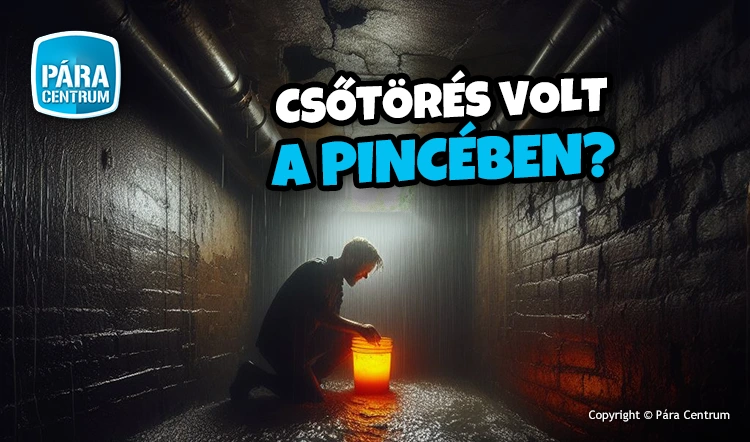 vizes pince kiszárítás pince szárítás