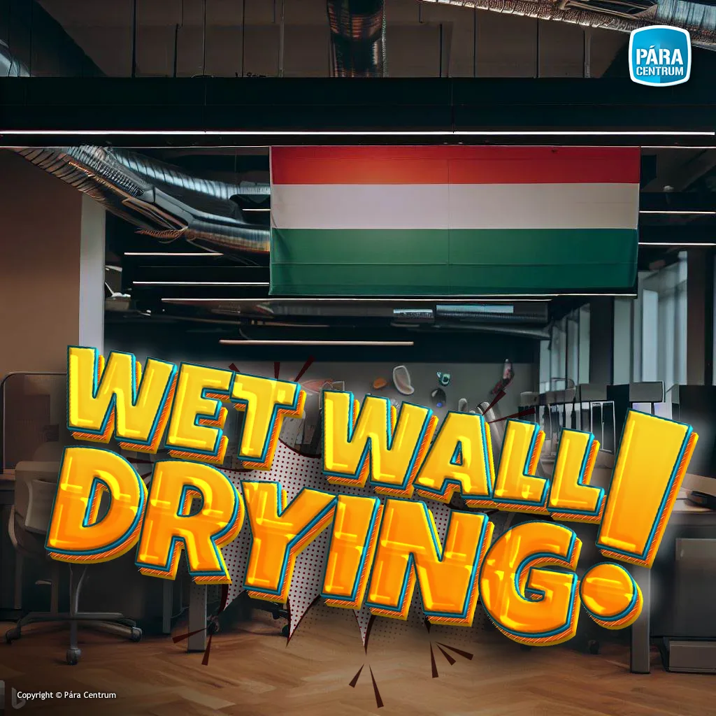 Wet wall drying | Hungary, Budapest